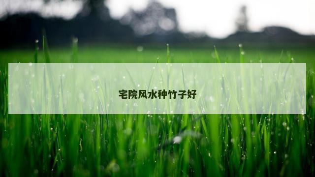 宅院风水种竹子好