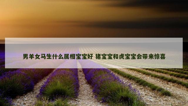 男羊女马生什么属相宝宝好 猪宝宝和虎宝宝会带来惊喜