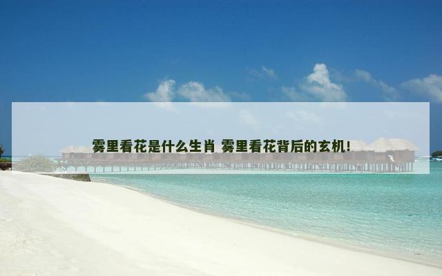 雾里看花是什么生肖 雾里看花背后的玄机！