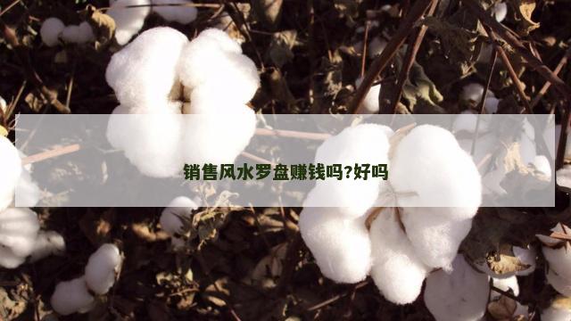 销售风水罗盘赚钱吗?好吗
