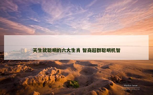 天生就聪明的六大生肖 智商超群聪明机智