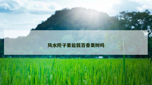 风水院子里能栽百香果树吗