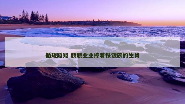 循规蹈矩 兢兢业业捧着铁饭碗的生肖