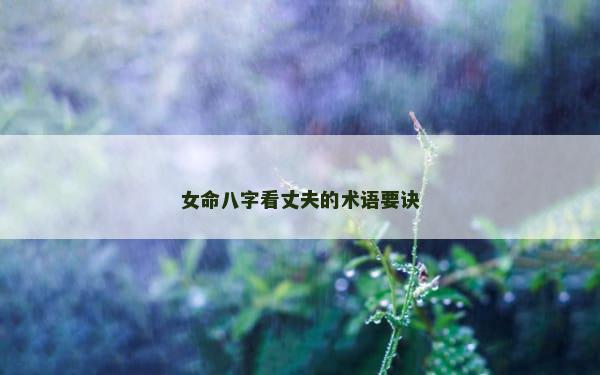 女命八字看丈夫的术语要诀