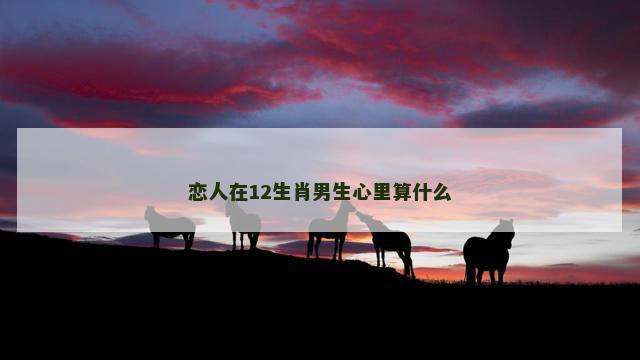 恋人在12生肖男生心里算什么
