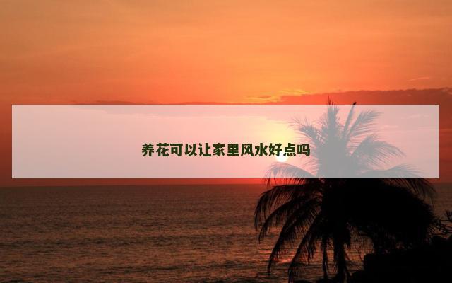 养花可以让家里风水好点吗