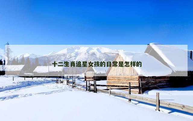 十二生肖追星女孩的日常是怎样的