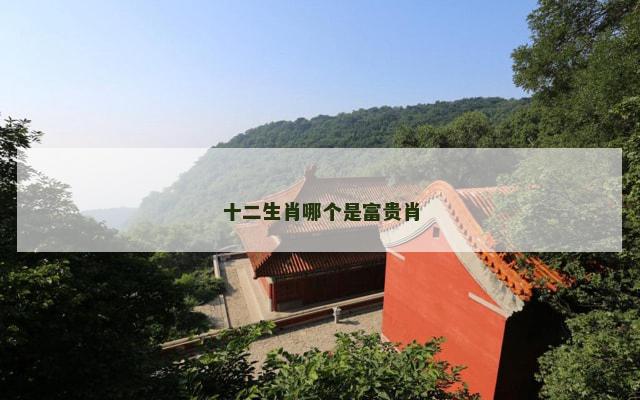 十二生肖哪个是富贵肖