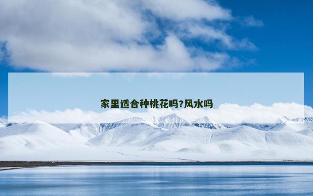 家里适合种桃花吗?风水吗