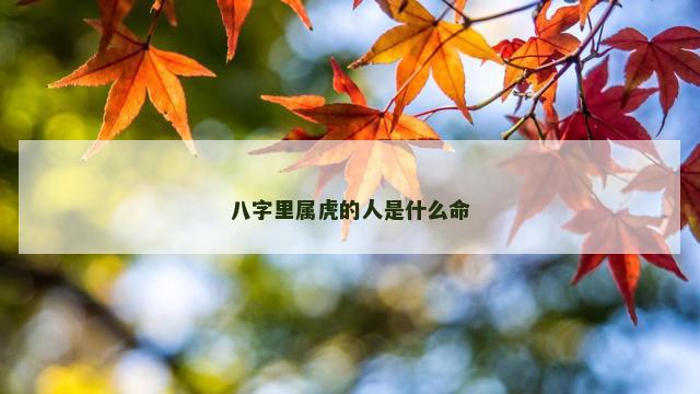 八字里属虎的人是什么命