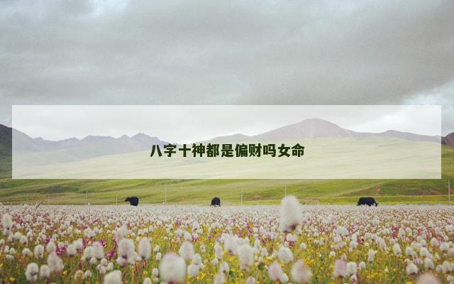 八字十神都是偏财吗女命