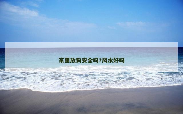家里放狗安全吗?风水好吗