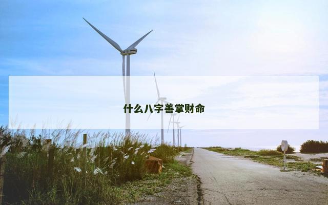 什么八字善掌财命