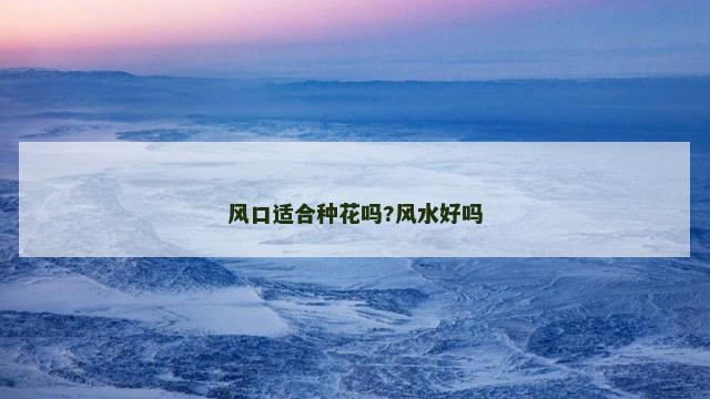 风口适合种花吗?风水好吗