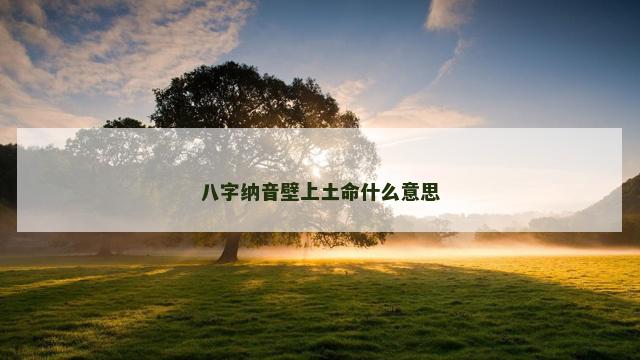 八字纳音壁上土命什么意思