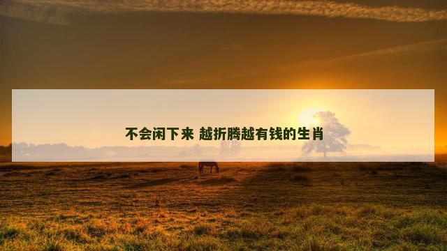 不会闲下来 越折腾越有钱的生肖