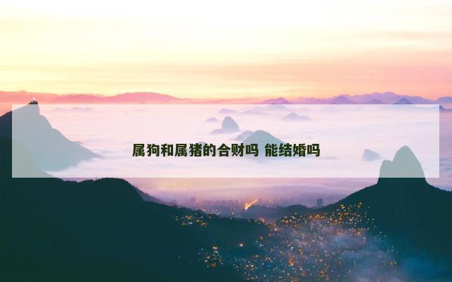 属狗和属猪的合财吗 能结婚吗