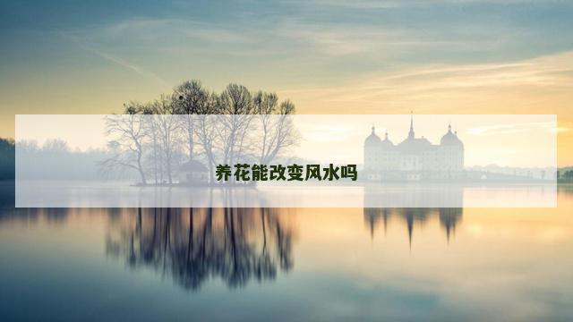 养花能改变风水吗