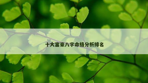 十大富豪八字命格分析排名