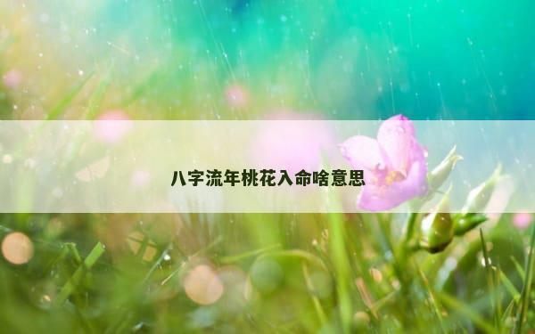 八字流年桃花入命啥意思
