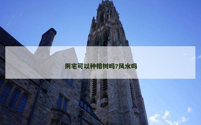 阴宅可以种榕树吗?风水吗