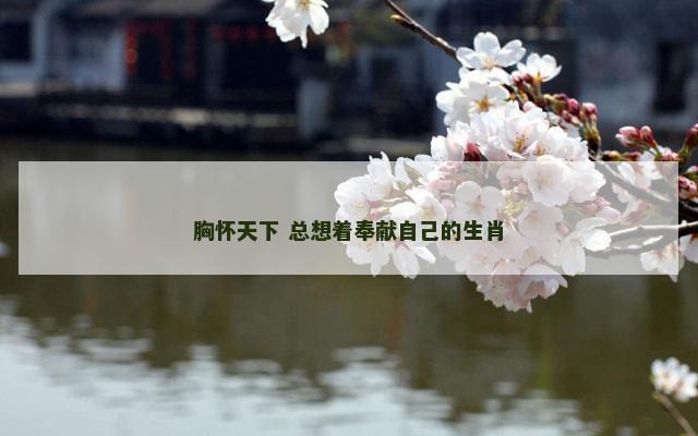 胸怀天下 总想着奉献自己的生肖