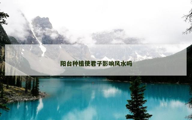 阳台种植使君子影响风水吗
