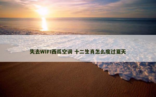 失去WIFI西瓜空调 十二生肖怎么度过夏天