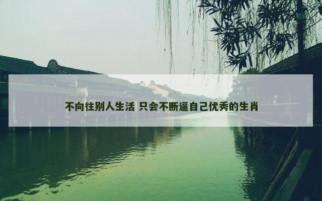 不向往别人生活 只会不断逼自己优秀的生肖