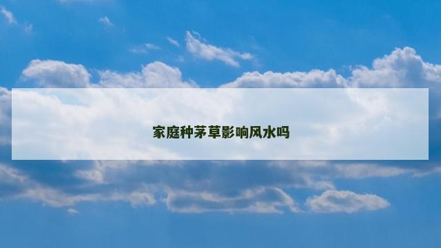 家庭种茅草影响风水吗