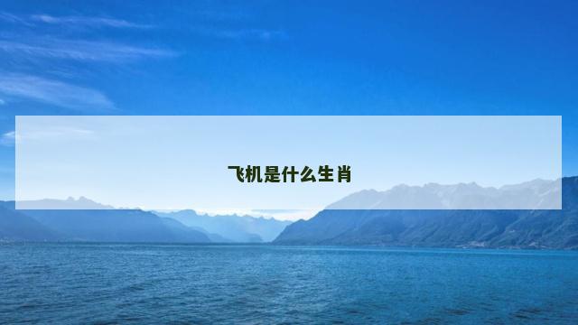 飞机是什么生肖