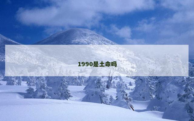 1990是土命吗