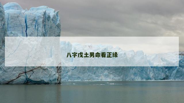 八字戊土男命看正缘