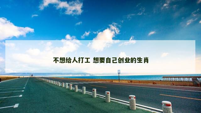不想给人打工 想要自己创业的生肖