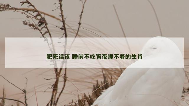 肥死活该 睡前不吃宵夜睡不着的生肖