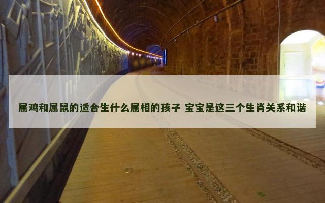 属鸡和属鼠的适合生什么属相的孩子 宝宝是这三个生肖关系和谐