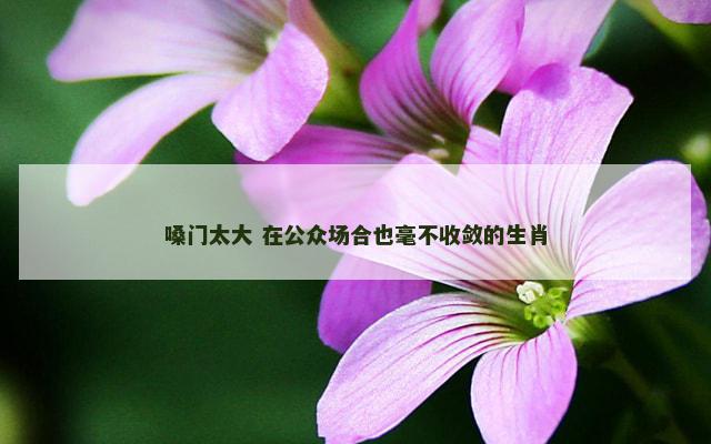 嗓门太大 在公众场合也毫不收敛的生肖