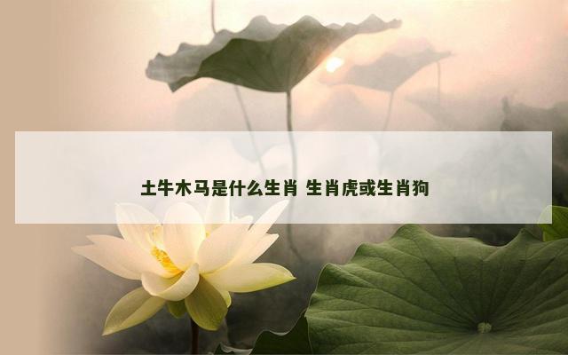 土牛木马是什么生肖 生肖虎或生肖狗