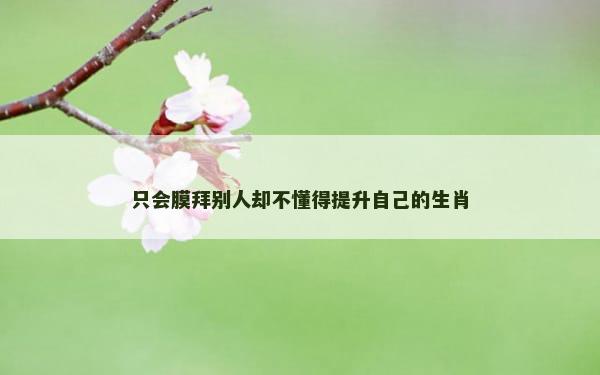 只会膜拜别人却不懂得提升自己的生肖