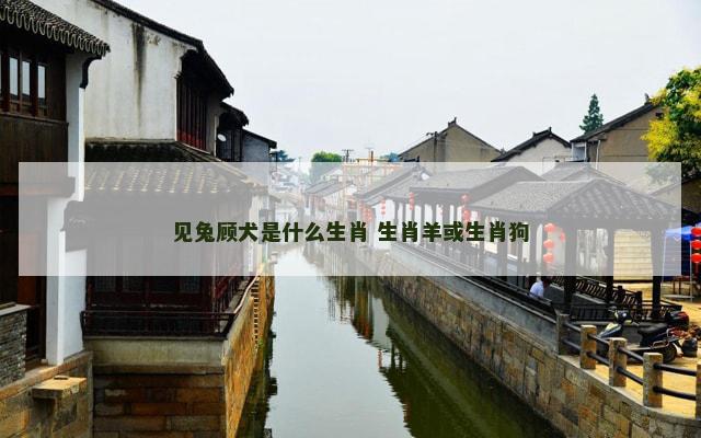 见兔顾犬是什么生肖 生肖羊或生肖狗