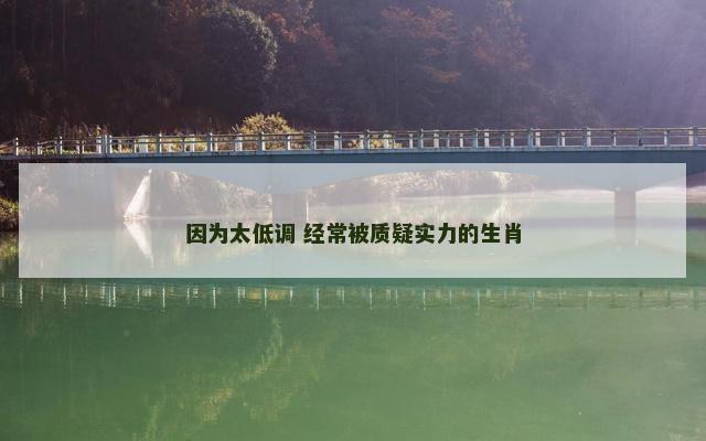 因为太低调 经常被质疑实力的生肖