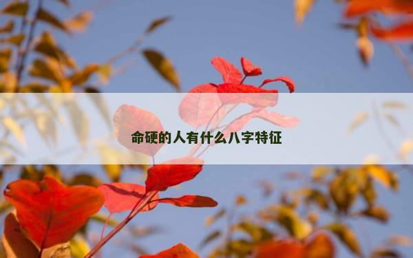 命硬的人有什么八字特征