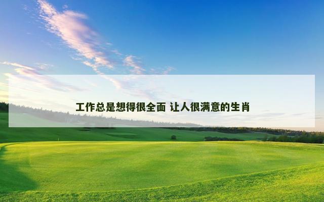 工作总是想得很全面 让人很满意的生肖