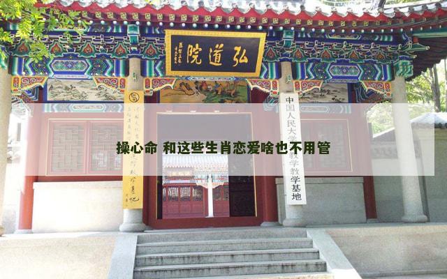 操心命 和这些生肖恋爱啥也不用管