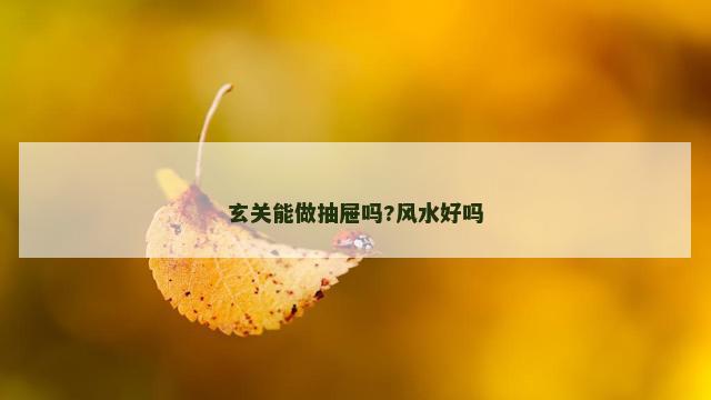 玄关能做抽屉吗?风水好吗