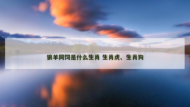 狼羊同饲是什么生肖 生肖虎、生肖狗