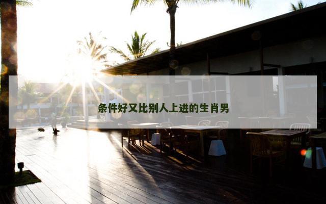 条件好又比别人上进的生肖男