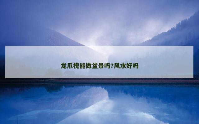 龙爪槐能做盆景吗?风水好吗