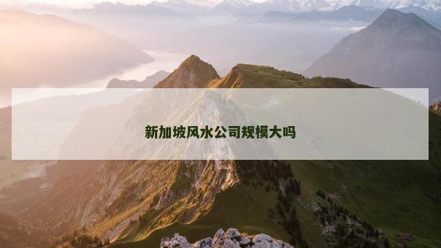 新加坡风水公司规模大吗