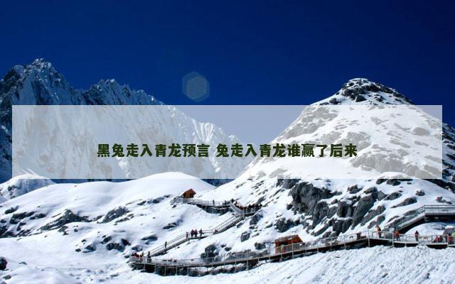 黑兔走入青龙预言 兔走入青龙谁赢了后来